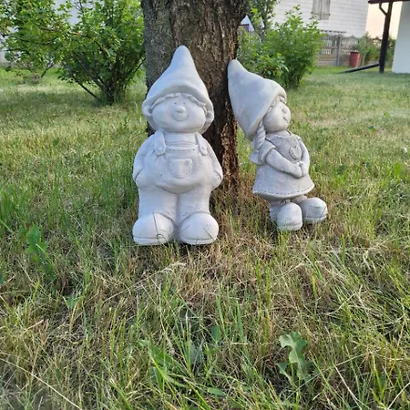 Domek Nad Stawem Agroturystyka Σπίτι διακοπών *