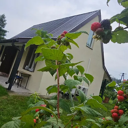 Holiday home Domek Nad Stawem Agroturystyka *